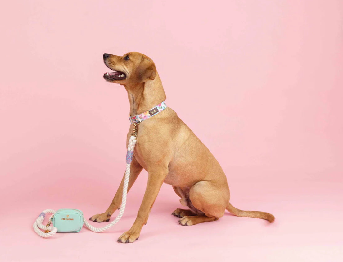 Dog Leash - Magnolia (6ft) - SALE