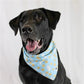 Milk & Cookies - Clasp & Tie Bandana
