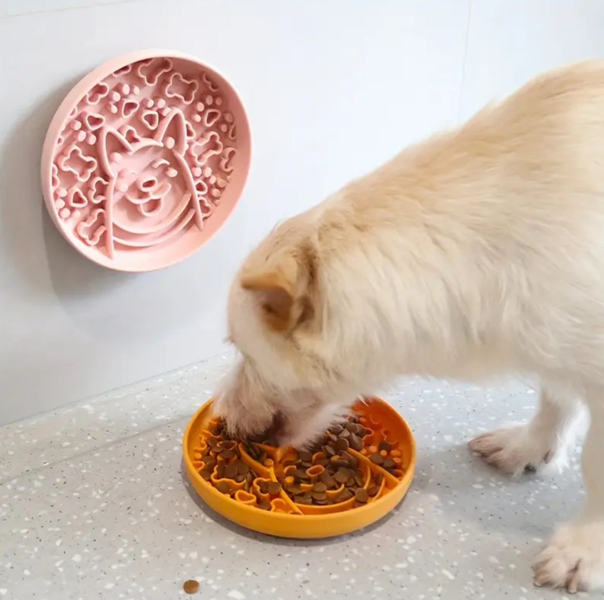 A Bite of Happiness - Slow Feeder Dog Bowl