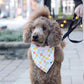 Dreaming of Popsicles & Fun - Reversible Tie & Clasp Bandana