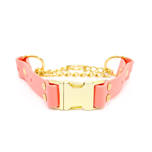 Waterproof Biothane Martingale Dog Collar – Coral, 1" Wide (15"–18")