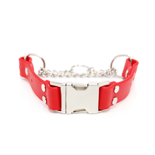 Waterproof Biothane Martingale Dog Collar – Red, 1" Wide (18"–22")